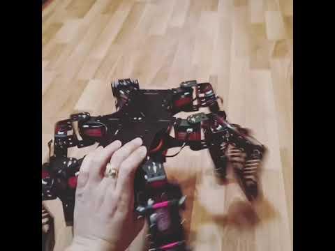 Hiwonder Sipser Robot Flip Walking Function