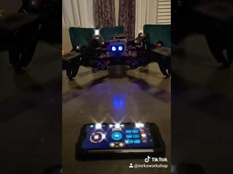 Hiwonder Spider Robot Using an Android Phone Controller