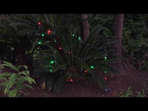 Holiday Twinkle LEDs 1