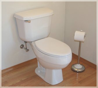 HomeToiletImage2.jpg