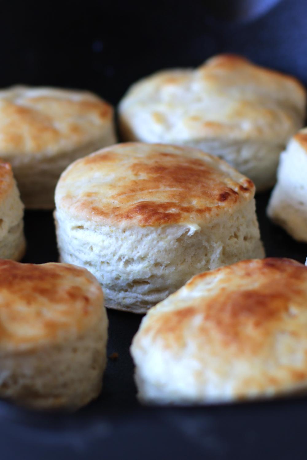 Homemade Buttermilk Biscuits Long Hi Res.jpg