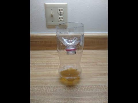 Homemade Fly Trap