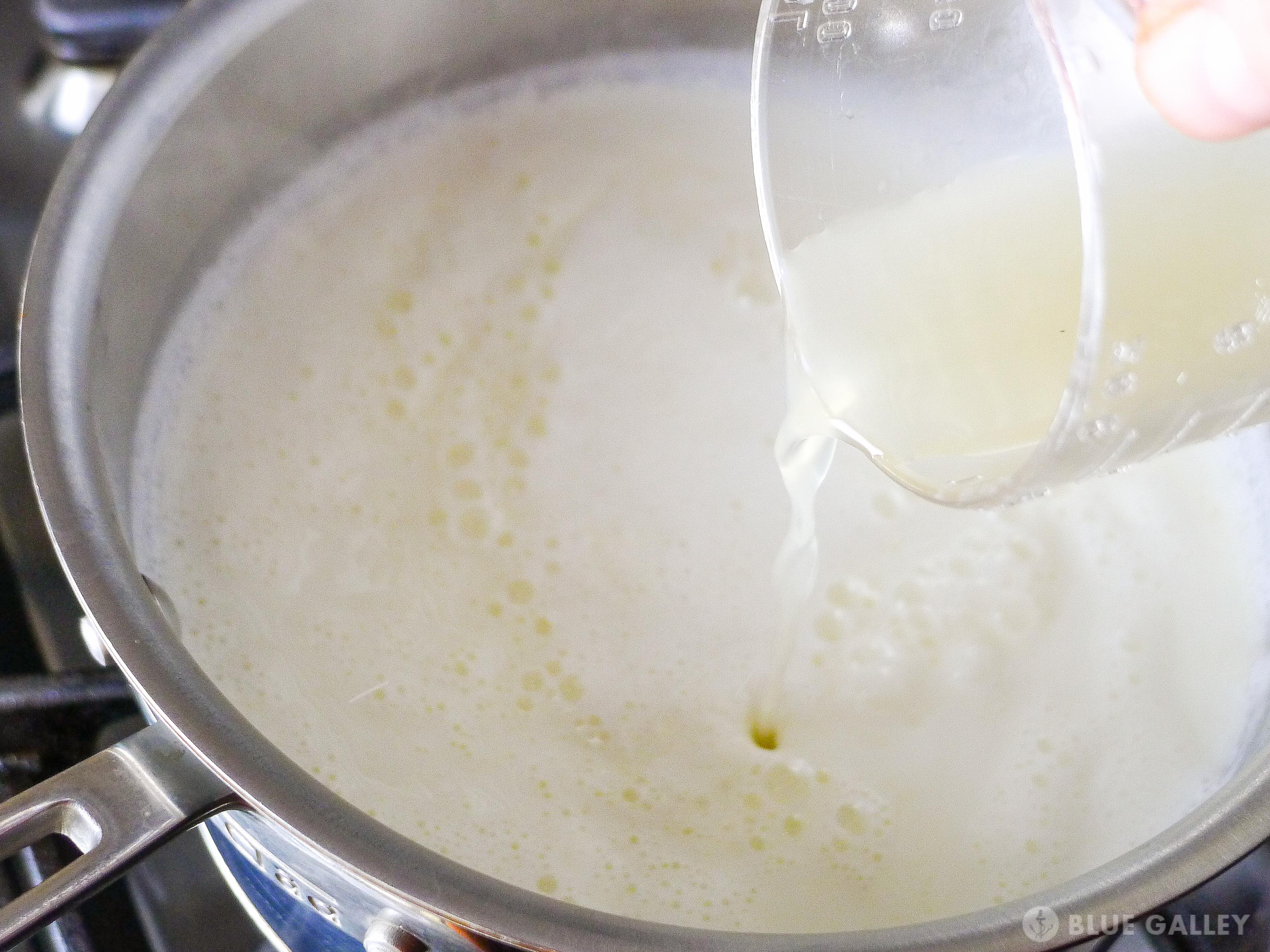 Homemade Meyer Lemon Ricotta-14.jpg