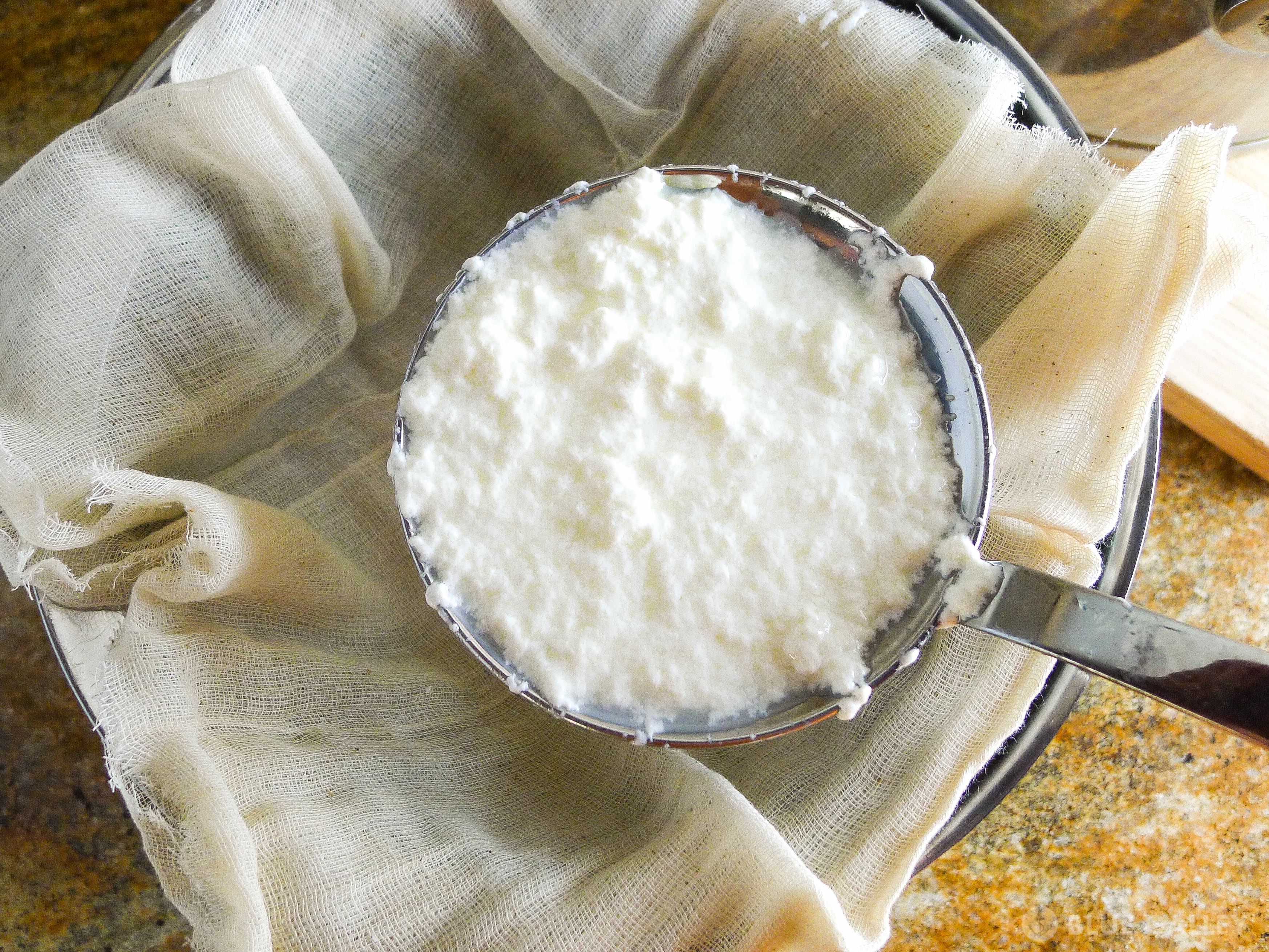 Homemade Meyer Lemon Ricotta-19.jpg