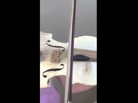 Homemade Violin