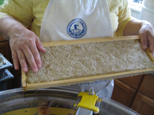 HoneyExtraction075.jpg