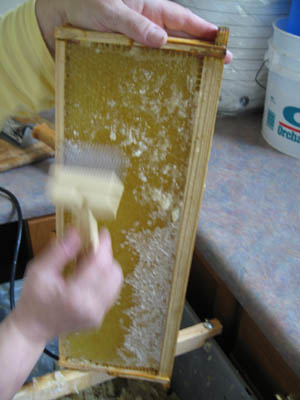 HoneyExtraction083.jpg