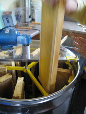 HoneyExtraction085.jpg