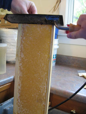 HoneyExtraction093.jpg