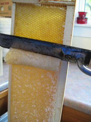 HoneyExtraction094.jpg