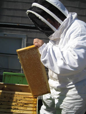 HoneyHarvest58.jpg