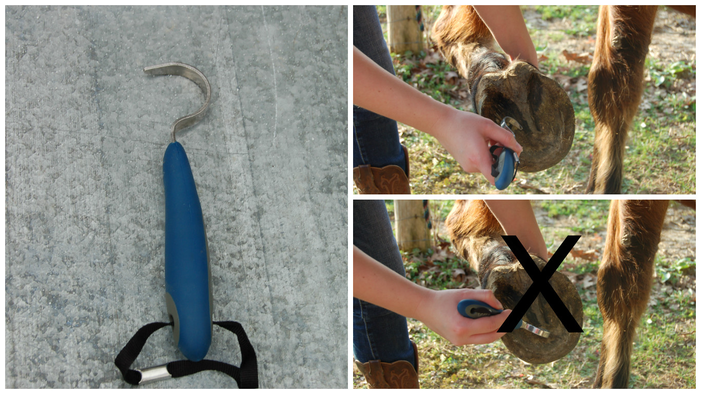 Hoof Pick.jpg