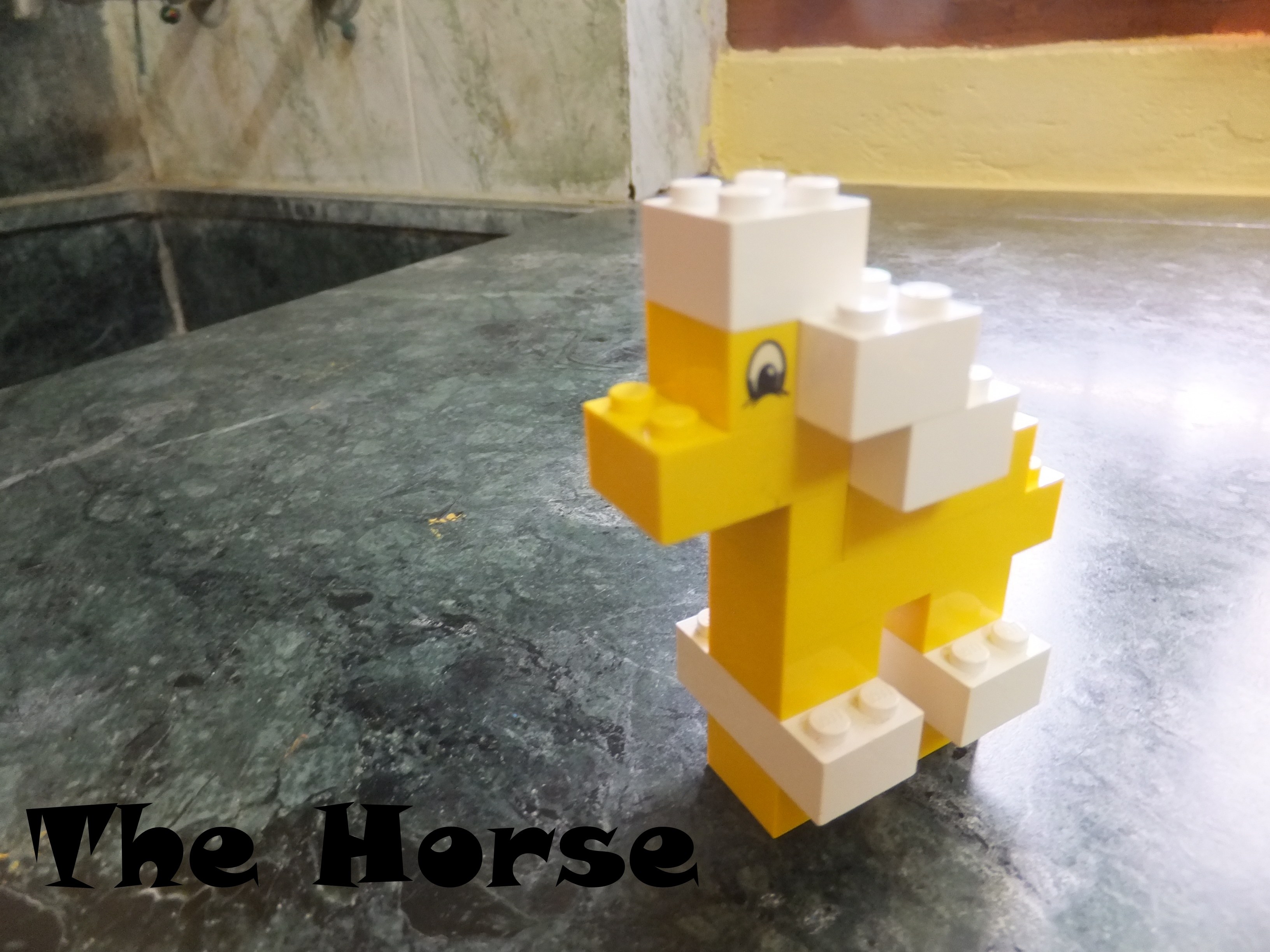 Horse Cover.JPG