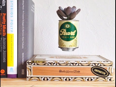 Hover plant made with tin beer can and cigar box