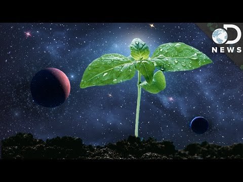 How Astronauts Grow Plants In Space