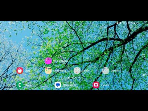 How To Enable Landscape Mode For The Homescreen On Android 14 With One UI 6.1!!