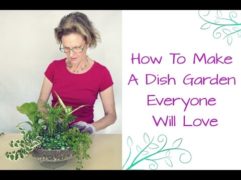 How To Make A Dish Garden Everyone Will Love