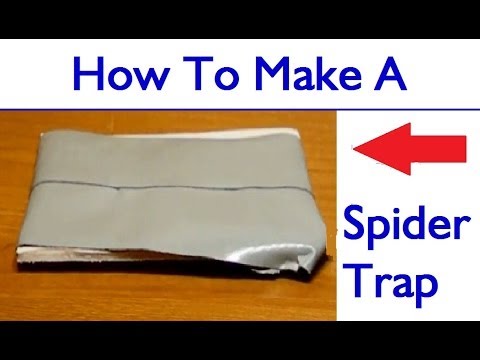 How To Make A Spider Trap