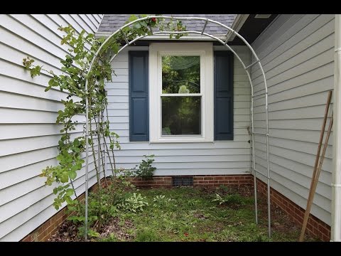 How To Make An Arbor For Plants Out  Of EMT Conduit