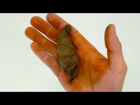 How To Make Fake POOP With Toilet Paper Roll !!!