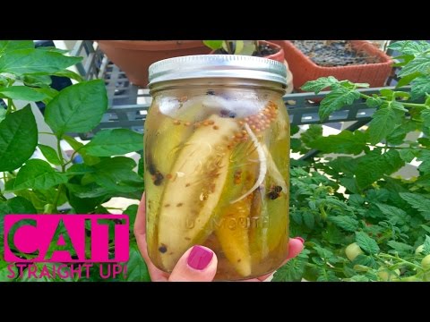 How To Make Refrigerator Dill Pickles | Cait Straight Up