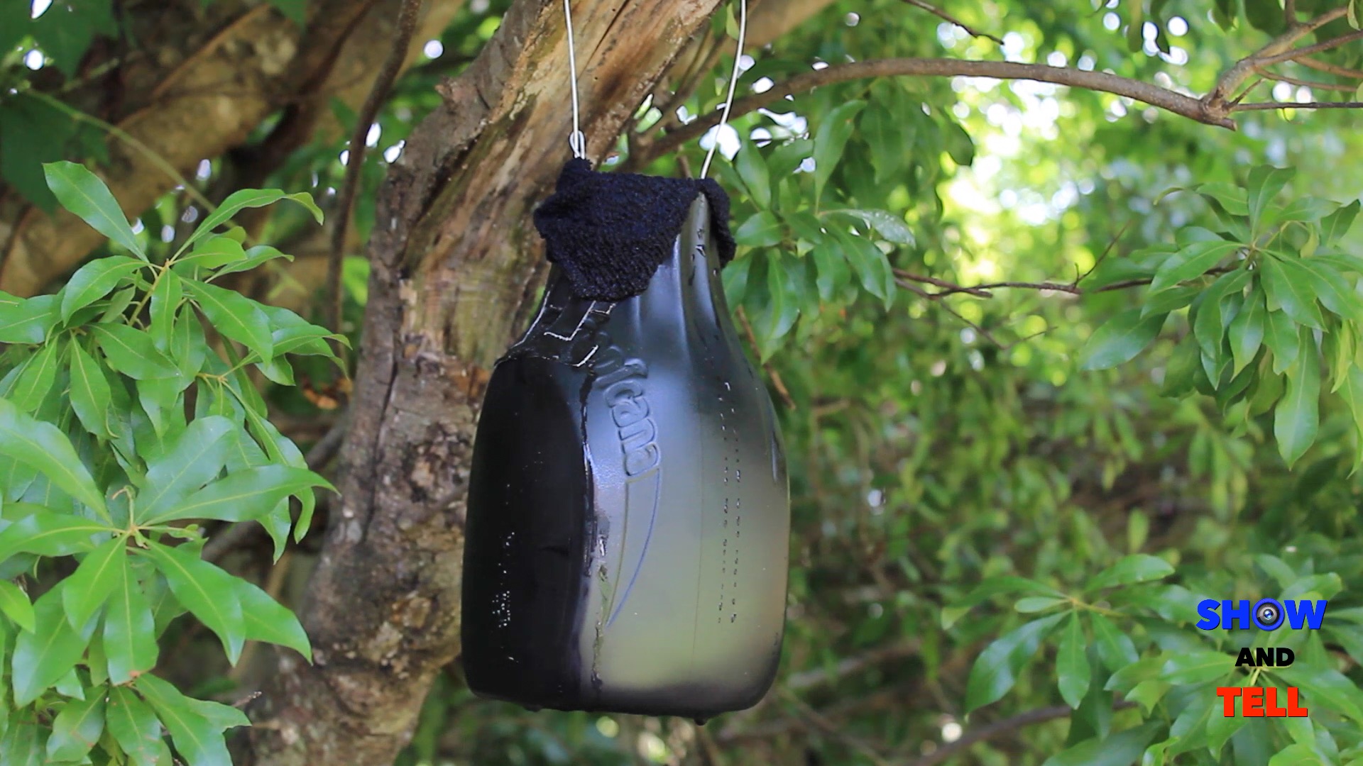 How To Make a DIY Ovitrap Mosquito Trap.jpg