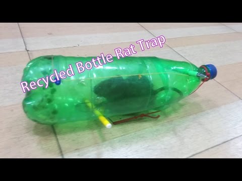 How To Make a Recycled Bottle Rat Trap