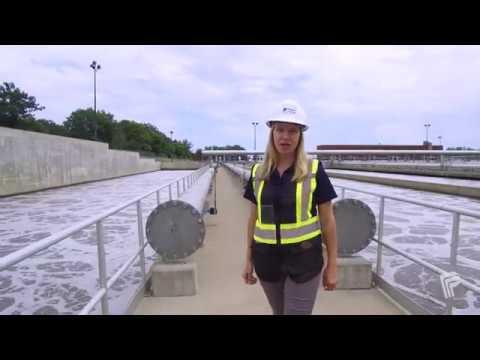 How the Region of Peel cleans your wastewater