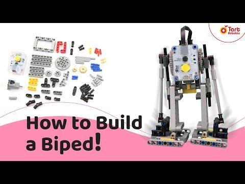 How to Build Humanoid Robot | Robotics &amp;amp; Creativity Workshop