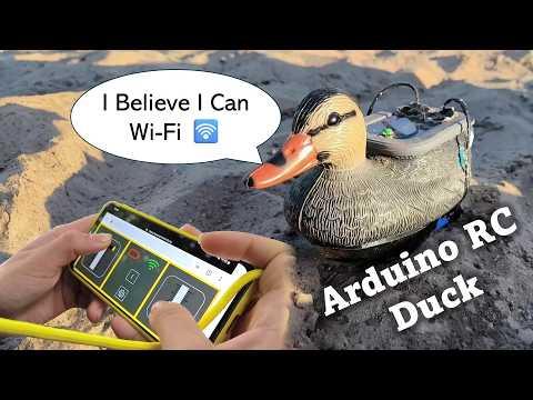 How to Build a (better) RC Duck - With Arduino and Wi-Fi