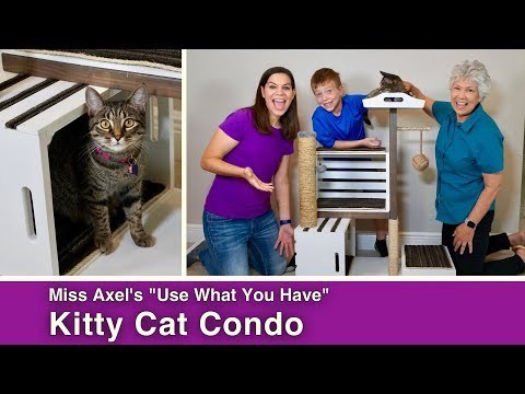 How to Build a Modern Cat Condo with Crates