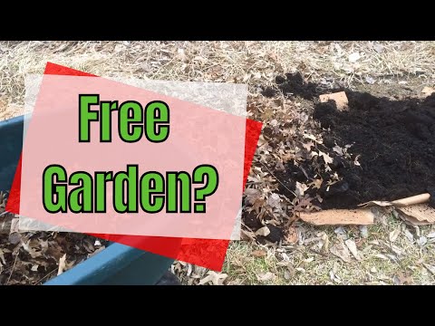 How to Build a Spring Garden Bed in the Fall (for free)