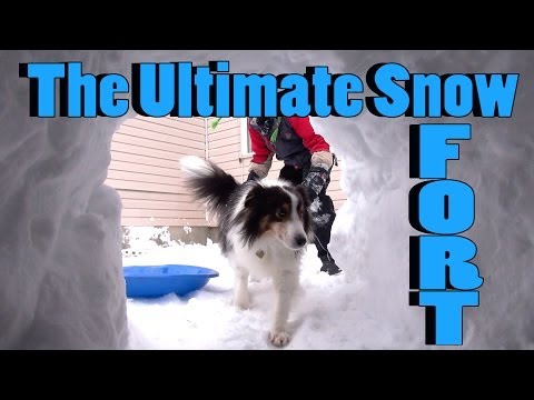 How to Build the Ultimate Snow Fort - Snow Igloo Style