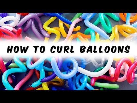 How to Curl A Balloon