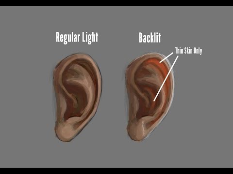 How to Draw Ears - Part 2 - Coloring &amp;amp; Subsurface Scattering