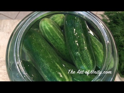 How to Easily Make Fermented Dill Pickles &amp;amp; the Benefits Of