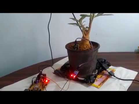 How to Grow Bonsai on Study Table using Internet of technology(IOT) Part:2