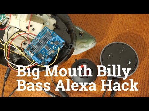 How to Hack Alexa Into a Fish