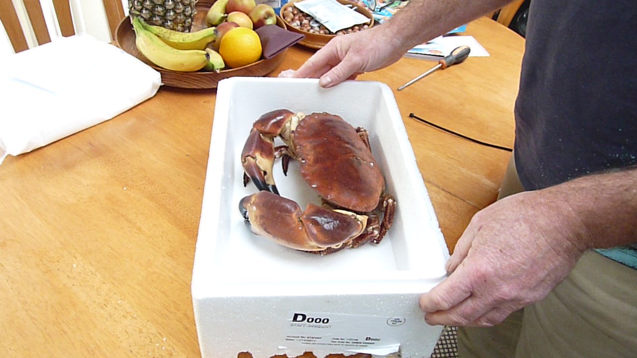 How to Instantly Kill a Crab for cooking (3).JPG