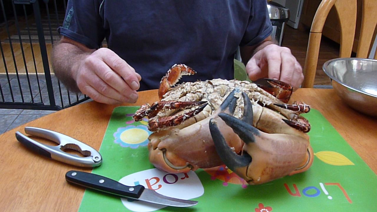 How to Instantly Kill a Crab for cooking (9).JPG