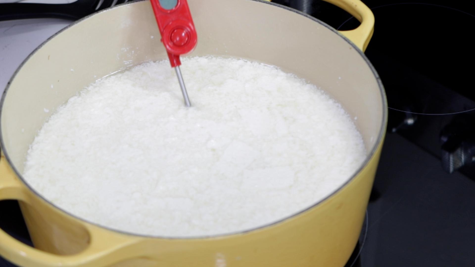 How to Make Mozzarella Cheese with Cheap Milk.00_06_11_08.Still013.jpg