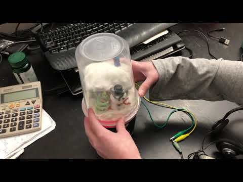 How to Make Snow Globe with Music and Light