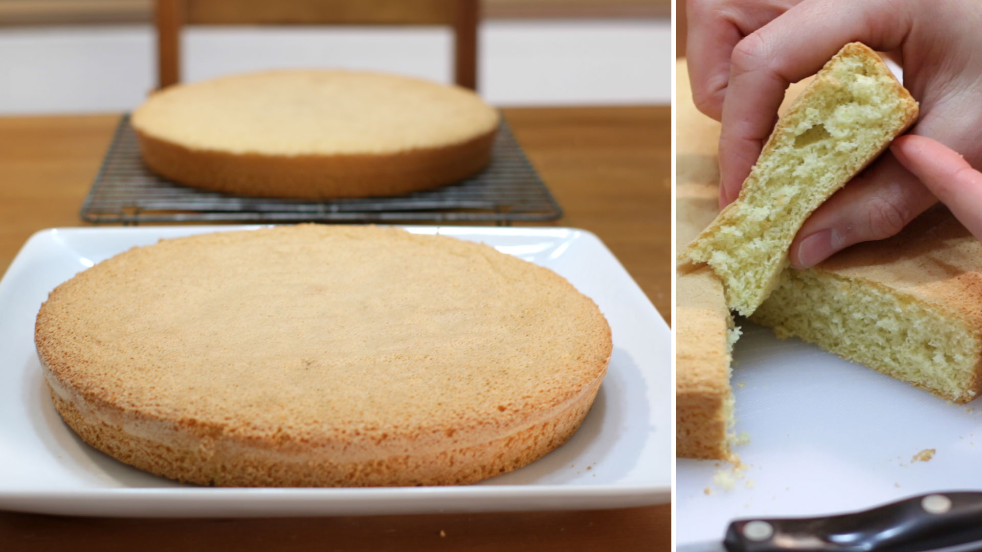 How to Make Sponge Cake | Easy Three Ingredient Sponge Cake Recipe.jpg