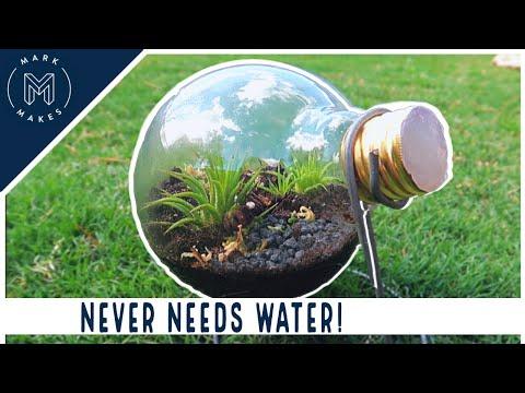 How to Make Unique Terrariums