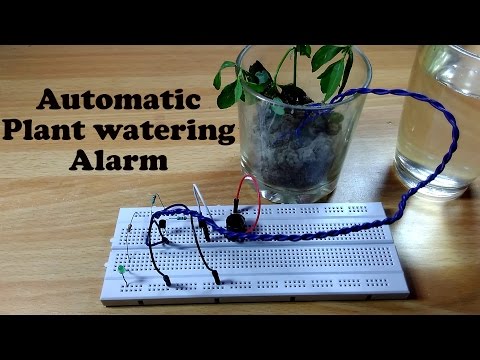 How to Make a Automatic Plant Watering Alarm Circuit