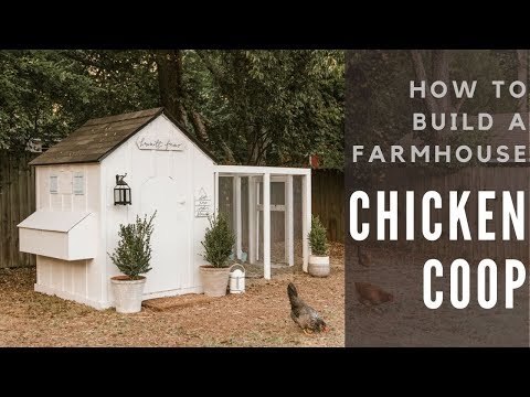 How to Make a DIY Chicken Coop