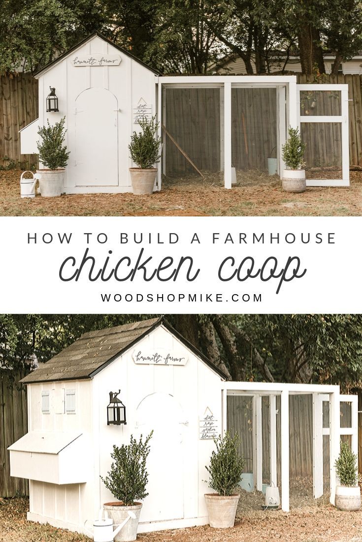 How to Make a DIY Chicken Coop.jpg