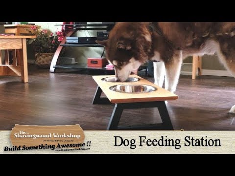 How to Make a Dog Feeding Station