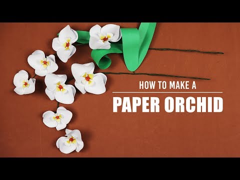How to Make a Paper Orchid