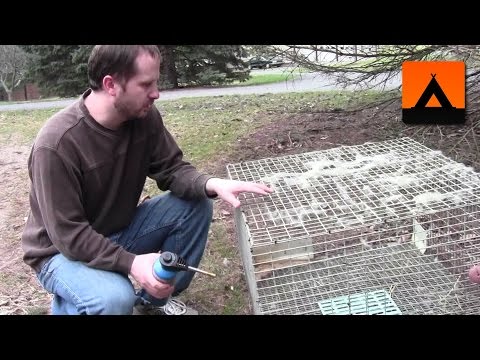 How to clean the hair off a rabbit cage the easy way